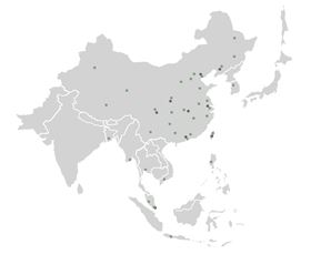 美國壽力中國